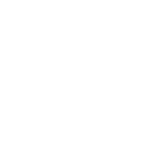 Longhirst White Jackdaw